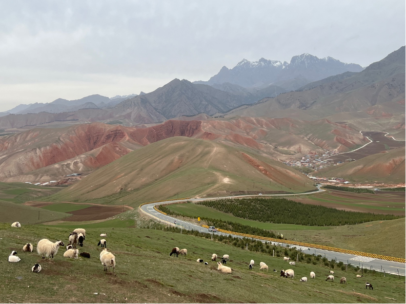 截图-20230725163510 截图-20230725163510